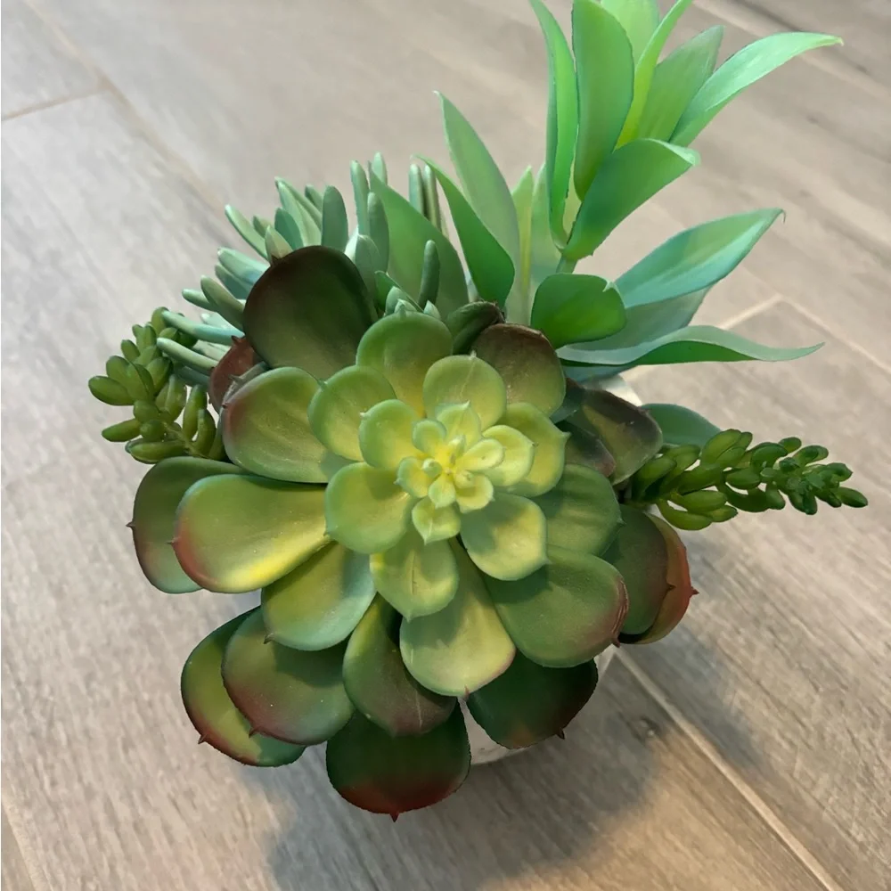 Green and Brown Succulent Arrangement in Marble Pot